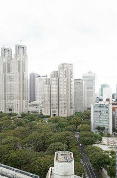 プラティーヌ新宿新都心 