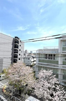 Ｉｒｉｓ西大井 