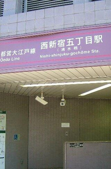 プルメリア 