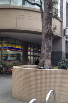 ＡＲＩＳＡ　ＣＯＵＲＴ（アリーサコート） 