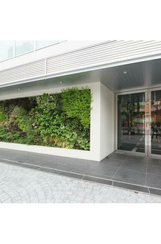 ＧＥＮＯＶＩＡ駒込駅　ｇｒｅｅｎ　ｖｅｉｌ 