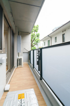 Ｔｈｅ　Ｖｅｒｌｕｘ　Ｔａｋａｎａｗａ 