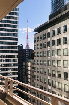 麻布市兵衛町ホームズ 