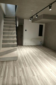 Ｔｓ　Ｒｅｓｉｄｅｎｃｅ白金高輪 
