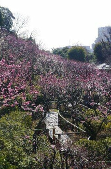 ＧｒａｃｅＭａｉｓｏｎ西馬込 