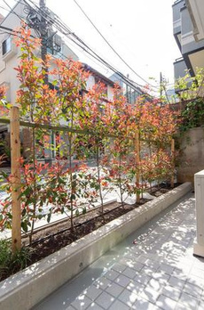 Ｋｅｙａｋｉ　Ｔｅｒｒａｃｅ　恵比寿南 