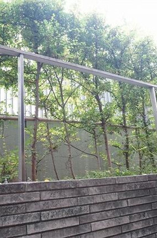 ウェリス有栖川 