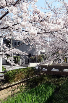 クレール深沢 