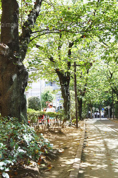 ＭａｉｓｏｎＭａｒｃｈⅡ 