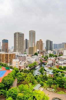 パークサイド・ウイングス 