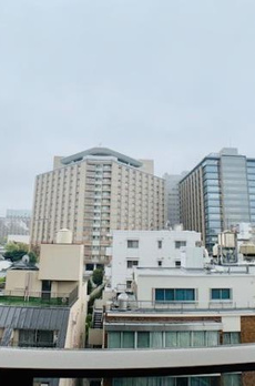 ＢｒｉｌｌｉａＴｏｗｅｒ上野池之端 