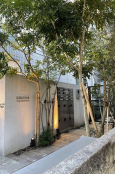 cocoha都立大 