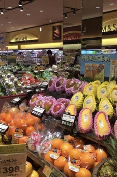 リプレザント秋葉原 