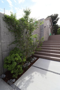 池田山スイート 