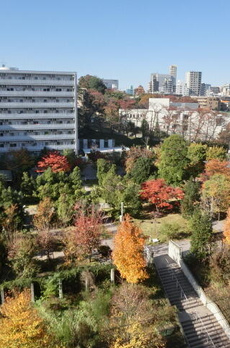 パークハウス池田山公園　白金台の杜 