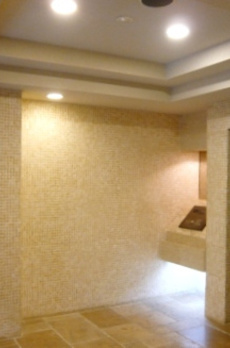 トーシンフェニックス新橋弐番館 