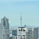 ＫＡＣＨＩＤＯＫＩ　ＴＨＥ　ＴＯＷＥＲ 