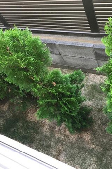 レゾナンス西荻窪 