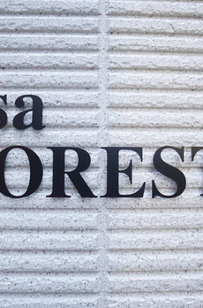 Ｃａｓａ　Ｆｏｒｅｓｔａ 