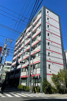 ラヴィン 