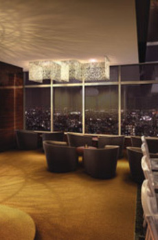 THE TOYOSU TOWER 