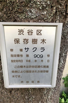 コリーヌ恵比寿 