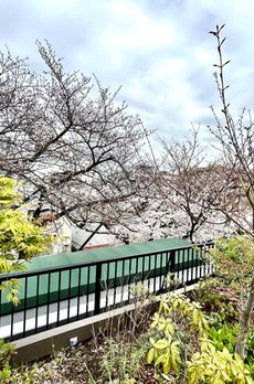 コリーヌ恵比寿 