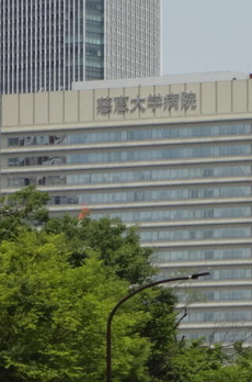 グランリビオ芝大門 