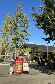 Ｔｒｉｃｏ大塚　Ｂ棟 
