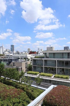 表参道ヒルズ　ゼルコバテラス　イースト 