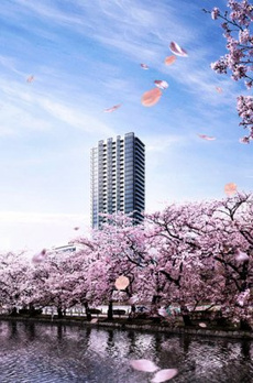 BrilliaTOWER上野池之端 