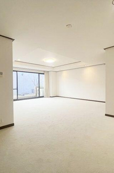 赤坂氷川町パーク・マンション 