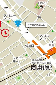 サンセベリア 