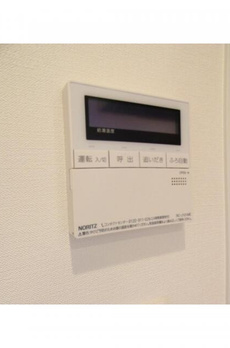 サンセベリア 