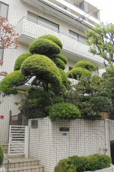 カーサ麻布西館 