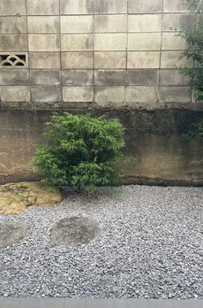 槇の杜 