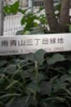 グランリビオ表参道 