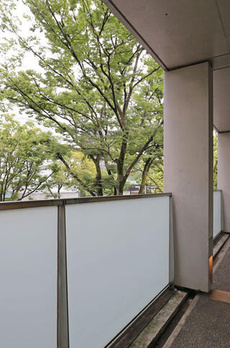 表参道ヒルズゼルコバテラス 