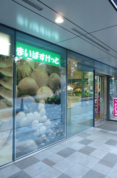 御殿山南パークハウス 