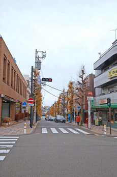 Ｌａｇｏｍ　Ｓｈｉｎｊｕ 
