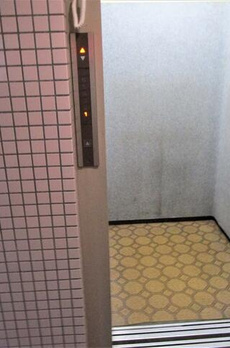 ピオニーキクチ 