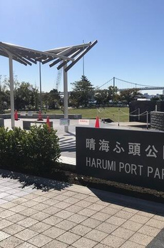 ＨＡＲＵＭＩ　ＦＬＡＧ　ＳＵＮＶＩＬＬＡＧＥ　Ｆ棟（晴海フラッグ　サン 
