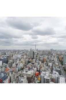 リガーレ日本橋人形町 スカイツリーview