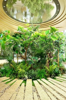 THE COURT 神宮外苑 