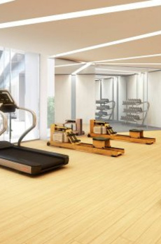 THE COURT 神宮外苑 