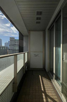 東京ツインパークスレフトウィング 