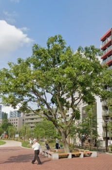 パークウェル銀座EAST 