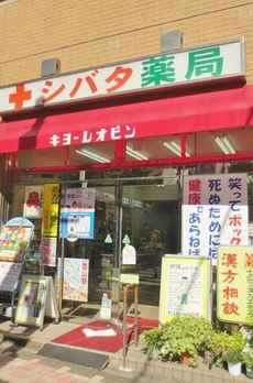 Ｍａｓａｊｉ－Ｔｏｋｉ 