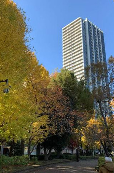 Ｂｒｉｌｌｉａ　Ｔｏｗｅｒ　上野池之端 