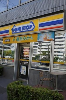 グランシティレイディアント東京イースト 